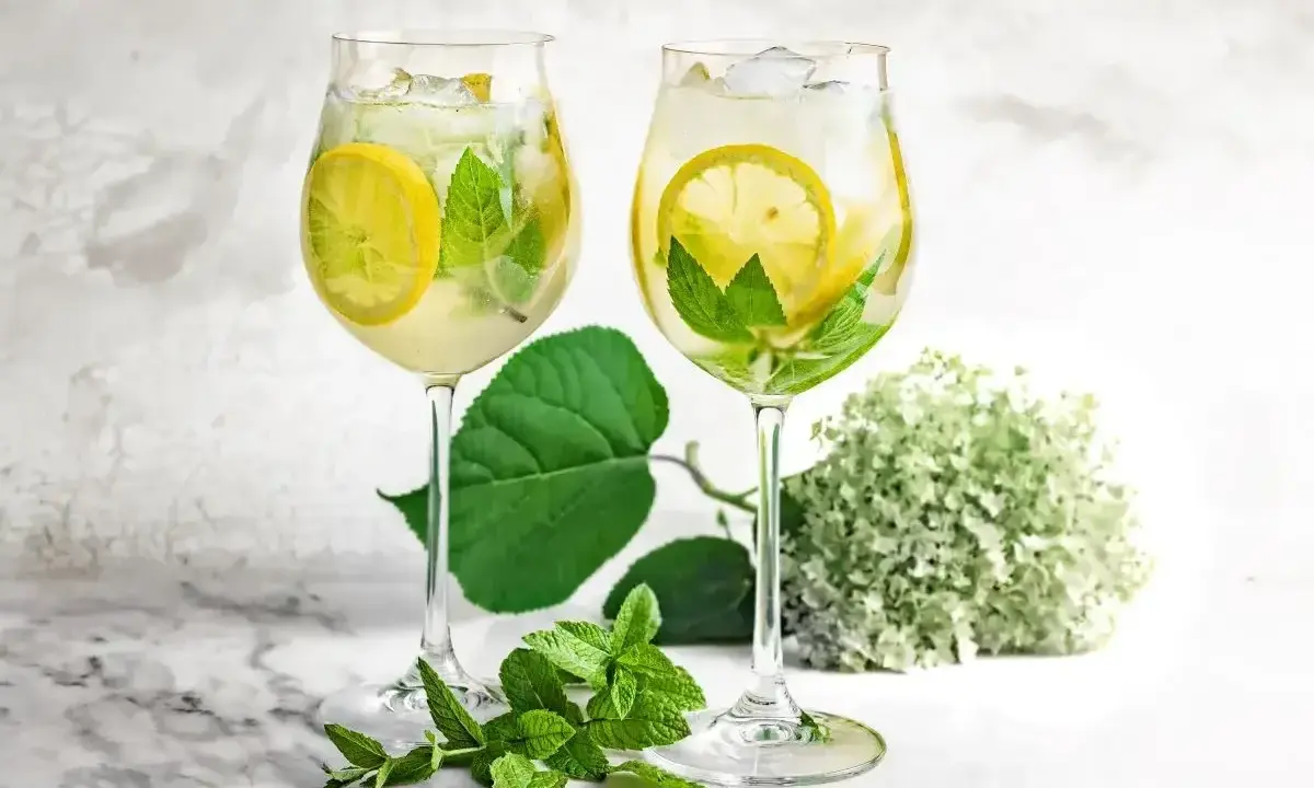 Dwa orzeźwiające drinki Hugo z syropem z czarnego bzu, cytryną i miętą, gotowe do degustacji.