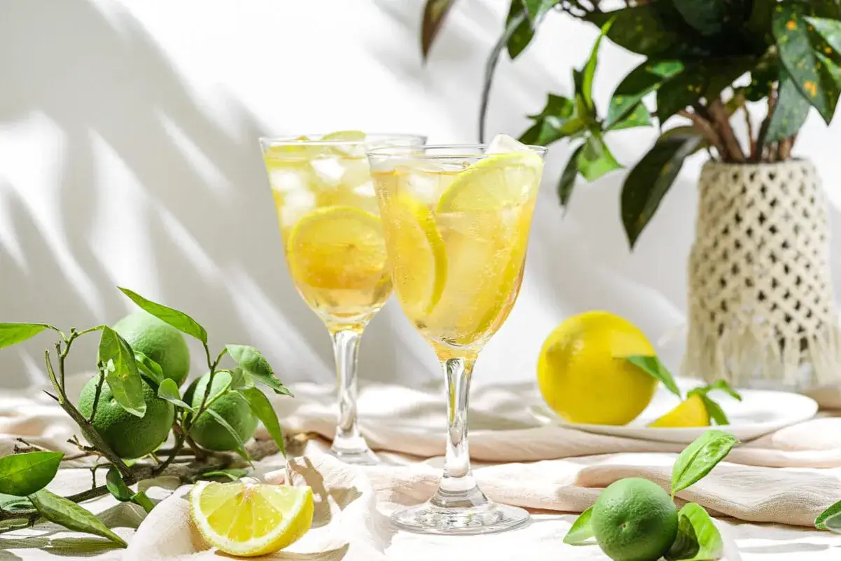 Dwa orzeźwiające drinki z cytryną i lodem, idealne do popijania z limoncello. W tle zielone owoce cytrusowe i roślina.